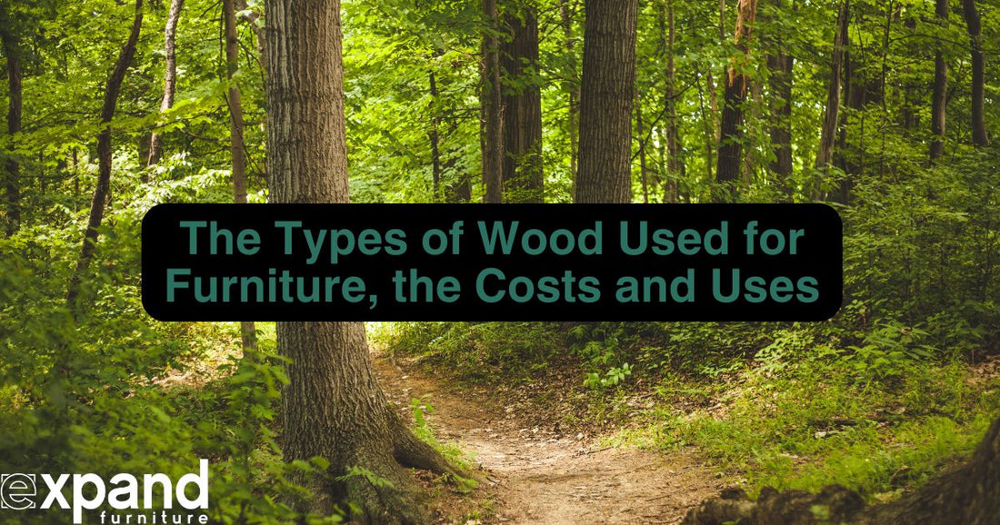The Types of Wood Used for Furniture with the Costs and Uses