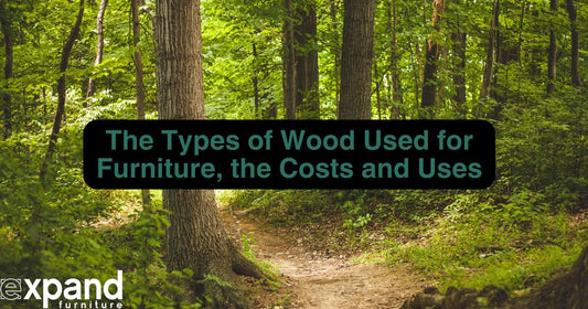 The Types of Wood Used for Furniture with the Costs and Uses