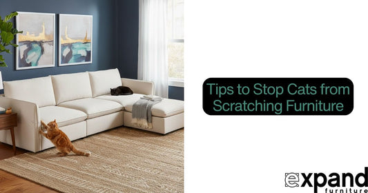 Tips to Stop Cats from Scratching Furniture