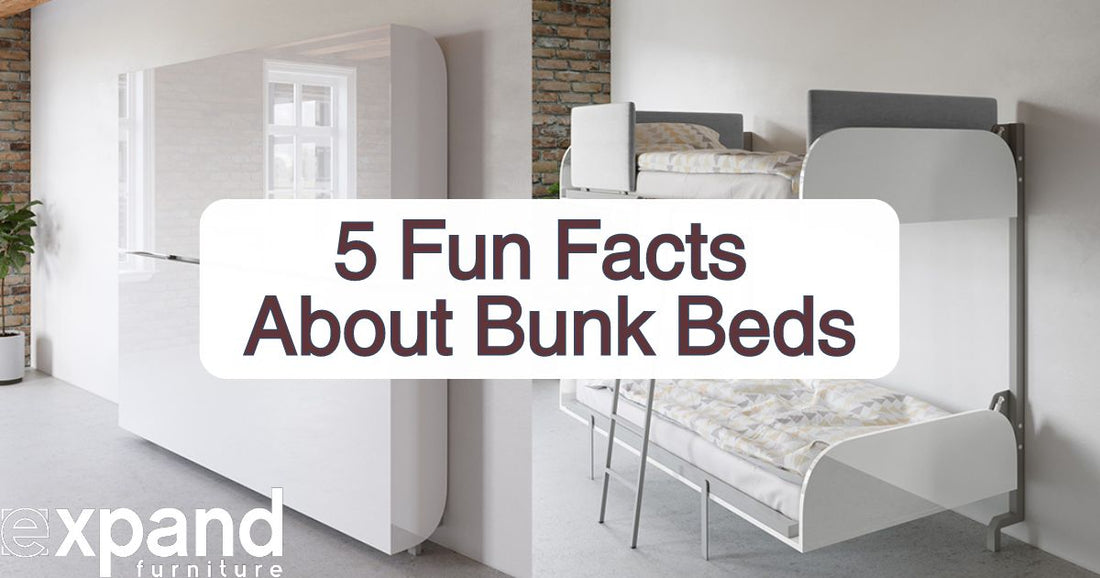 fun facts about bunk beds