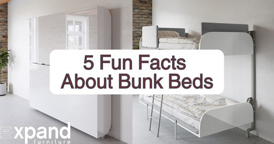 fun facts about bunk beds