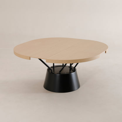 Radial circular expanded pedestal table | Champagne Ash