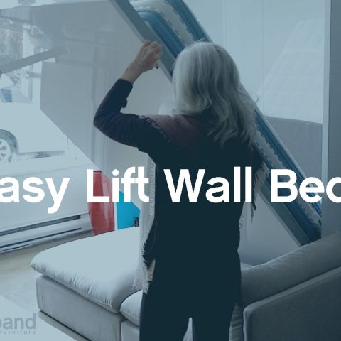 easy-lift-wall-beds-grandma-can-open
