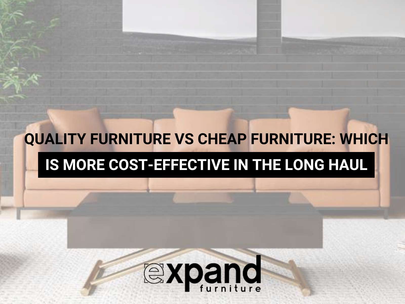 Quality Furniture vs Cheap Furniture Which Is More Cost-Effective In The Long Haul