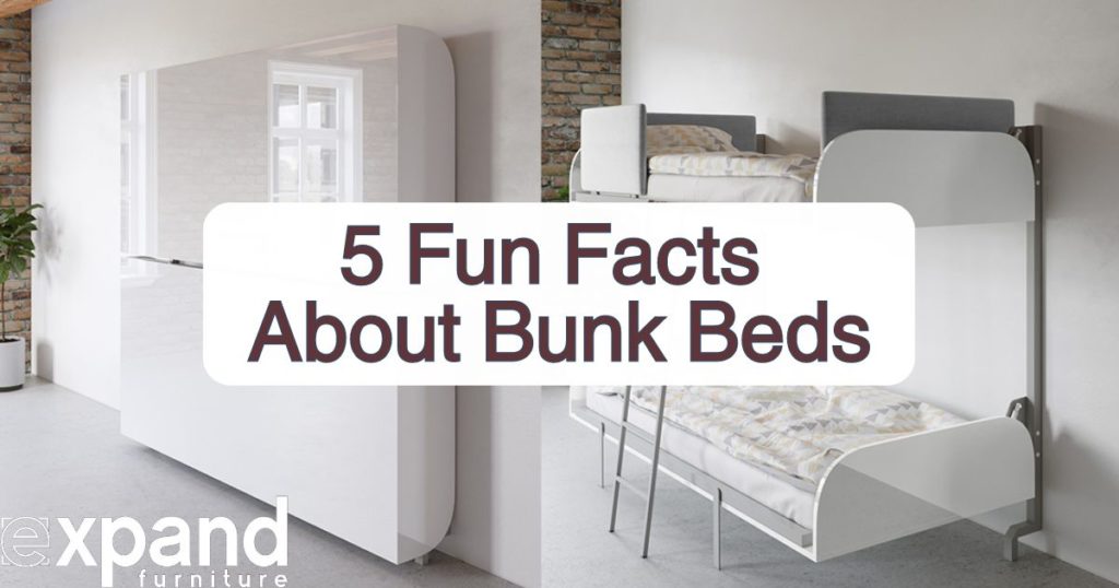 fun facts about bunk beds