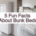 fun facts about bunk beds